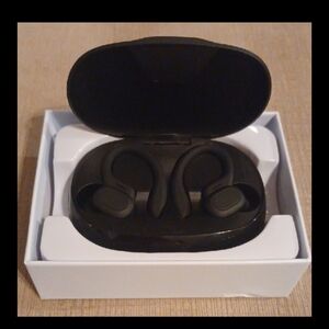 Sp16 Translator Earbuds